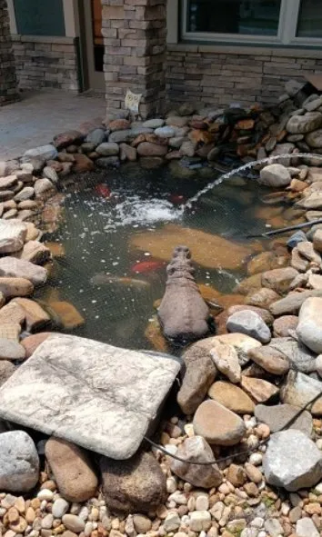 Local residential landscaping in Winter Park, FL - Wonders of Water