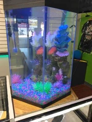 Trusted outdoor landscaping with custom design in Winter Park, FL by Wonders of Water