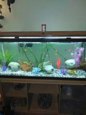 Expert landscape design for outdoor upgrades across Winter Park, FL - Wonders of Water