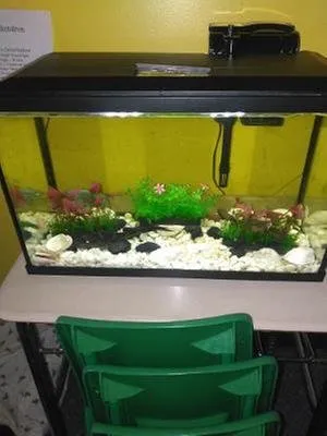 Affordable outdoor landscaping in Winter Park, FL - Wonders of Water