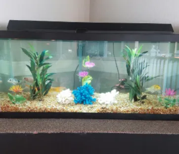 Local garden landscaping in Winter Park, FL by Wonders of Water