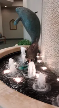 Top-rated yard maintenance in Winter Park, FL by Wonders of Water