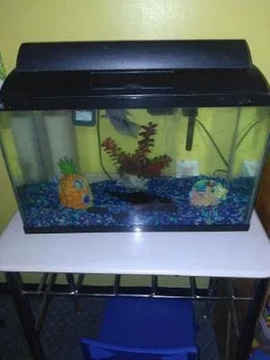 Reliable outdoor landscaping near you in Winter Park, FL by Wonders of Water