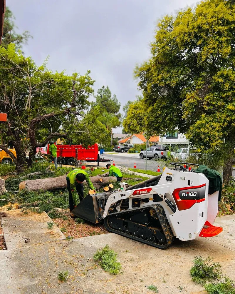 Top-rated outdoor landscaping for residential properties in Westlake Village, CA by WonderWorks