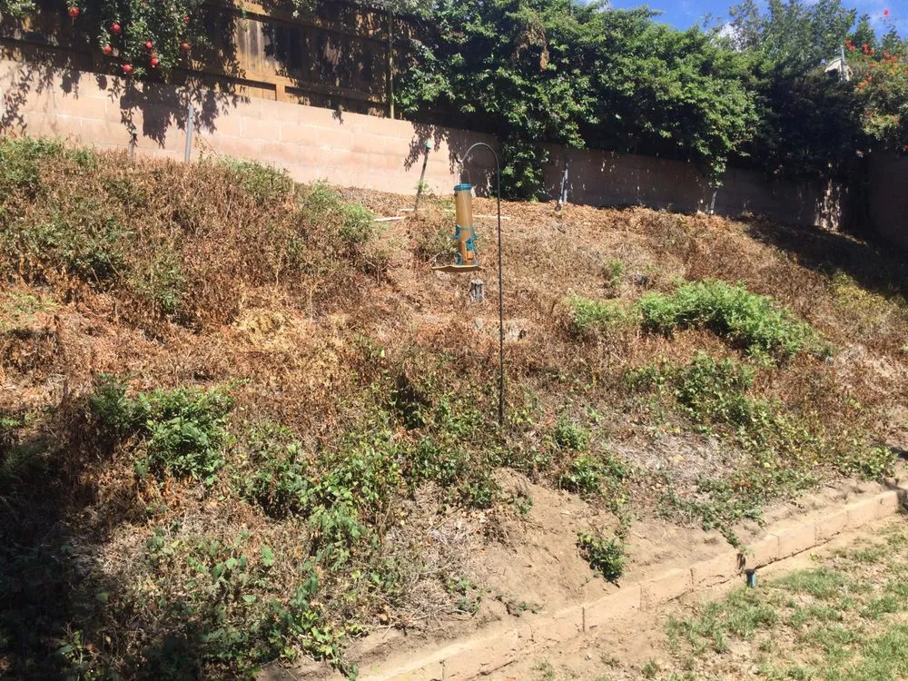 Custom landscape design for outdoor upgrades across Westlake Village, CA - WonderWorks