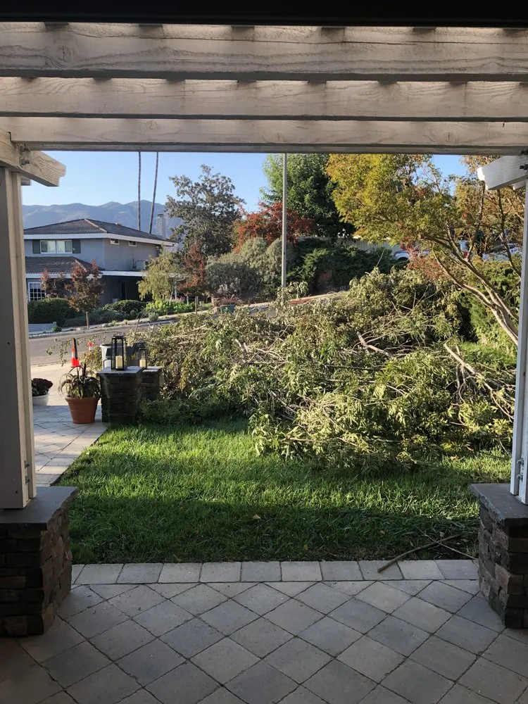 Affordable lawn care service in Westlake Village, CA - WonderWorks