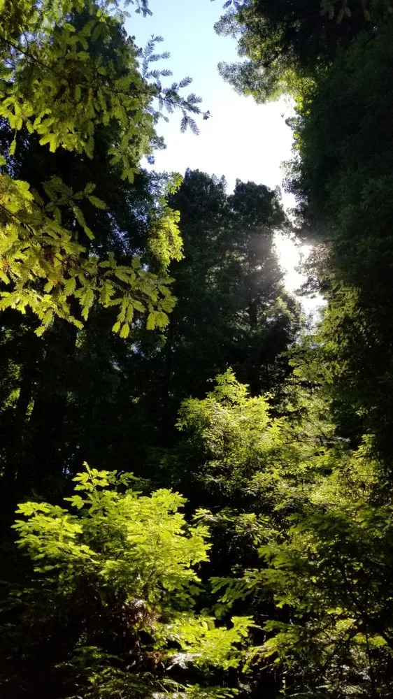 Local landscape design in Simi Valley, CA by Wondrous Landscapes