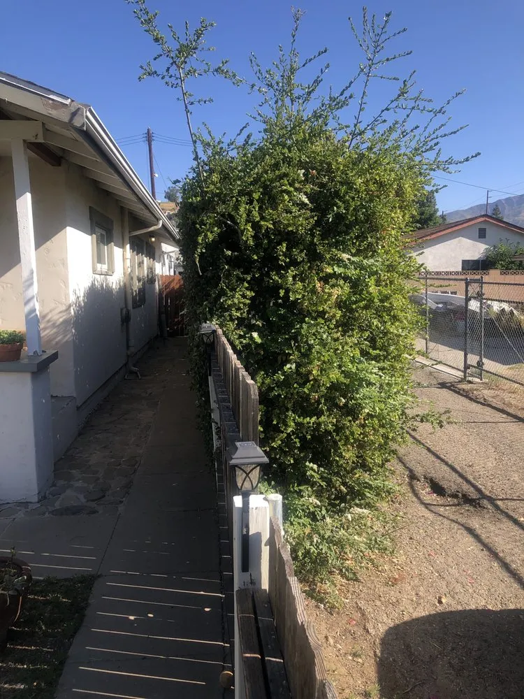 Affordable residential landscaping experts serving Simi Valley, CA - Wondrous Landscapes