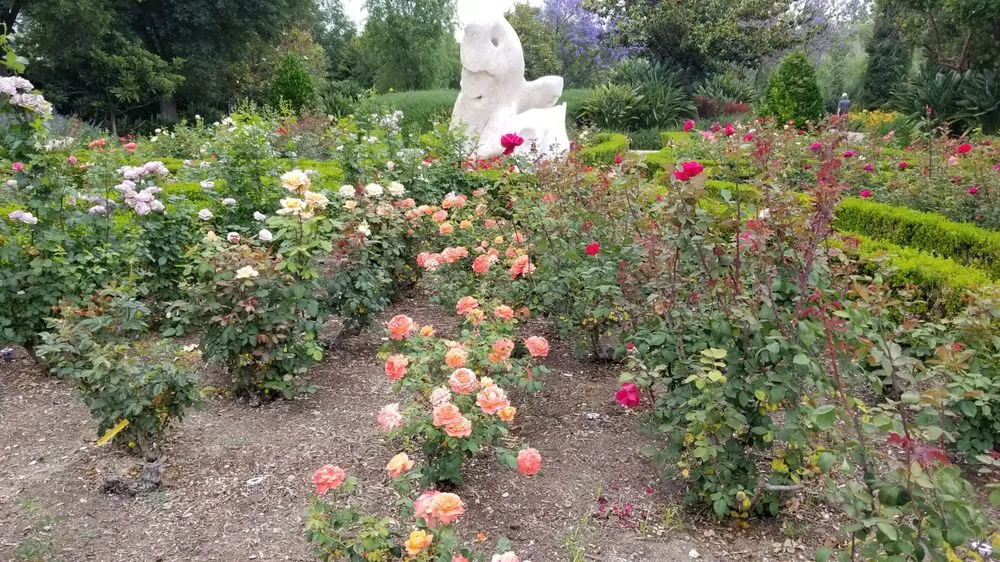 Affordable landscape design for beautiful yards in Simi Valley, CA by Wondrous Landscapes