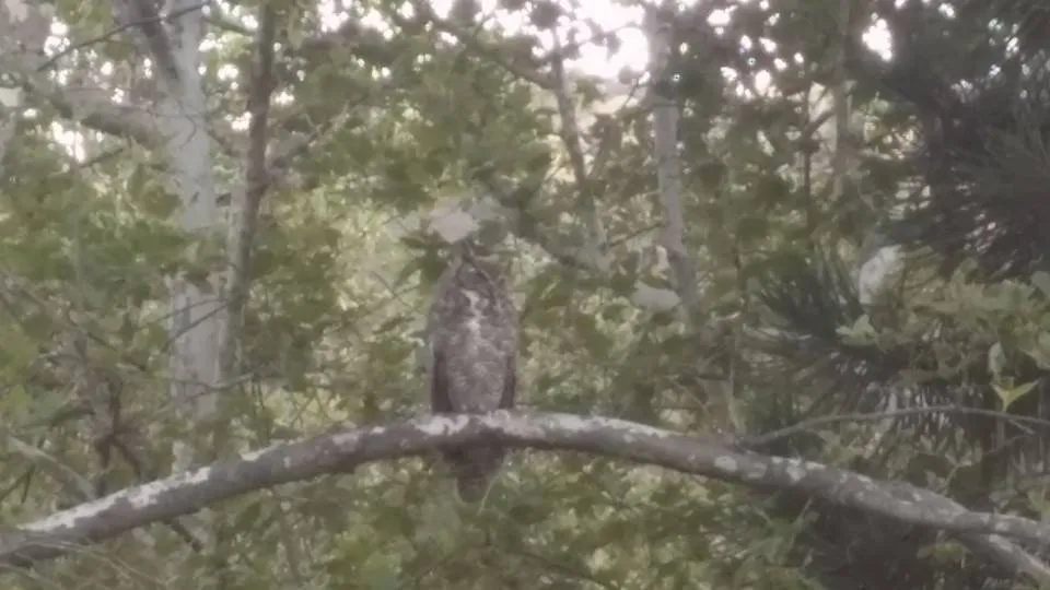 Local garden landscaping in Simi Valley, CA by Wondrous Landscapes