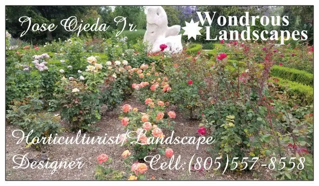 Reliable garden landscaping in Simi Valley, CA by Wondrous Landscapes