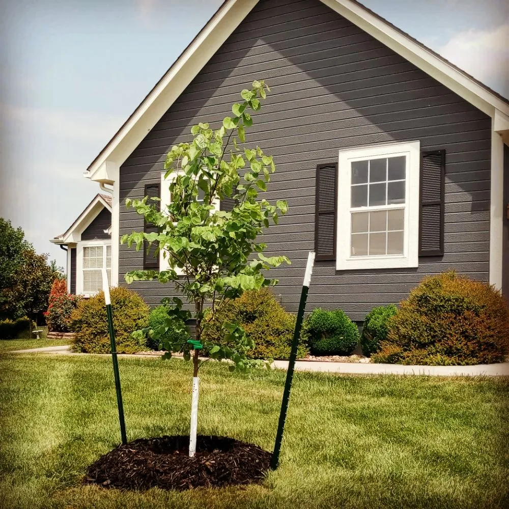 Top-rated residential landscaping in Pleasant Hill, MO - WoobiesLawn