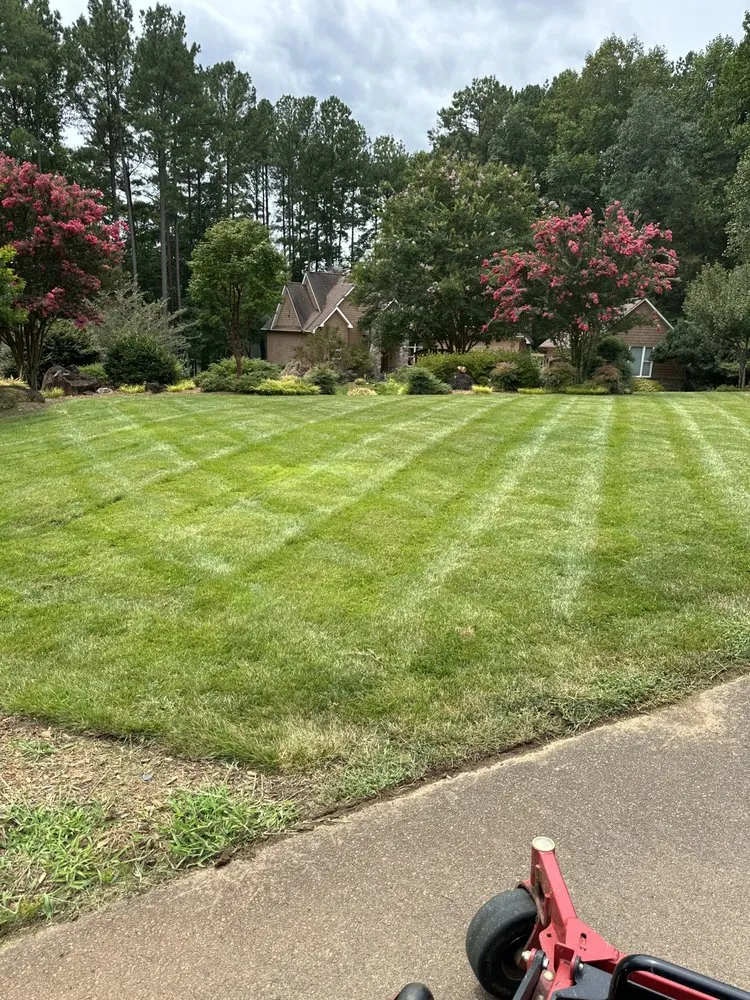 Expert landscaping services in Salisbury, NC by Wood and son landscaping/grading