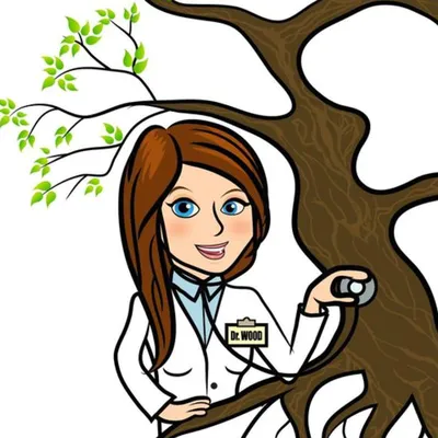 Wood Arborist & Landsdape Specialist Logo