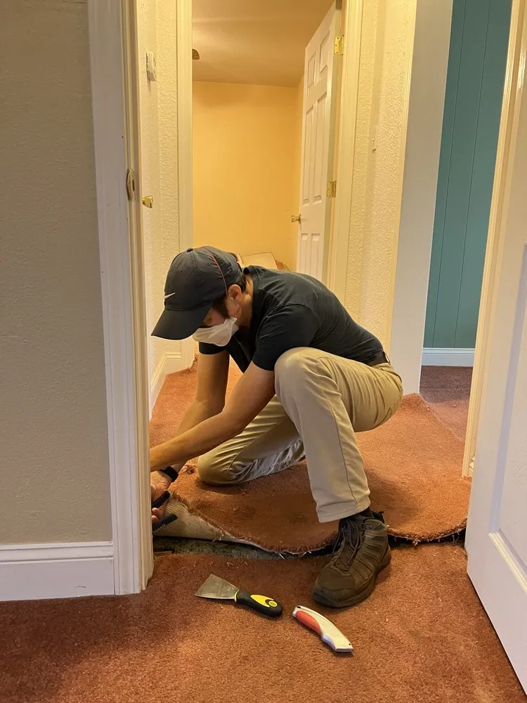 Expert landscaping services in Penn Valley, CA by Wood Bee- Your Handyman Solution