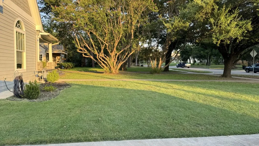 Professional yard maintenance experts serving Terrell, TX - Wood Bros Lawn Care