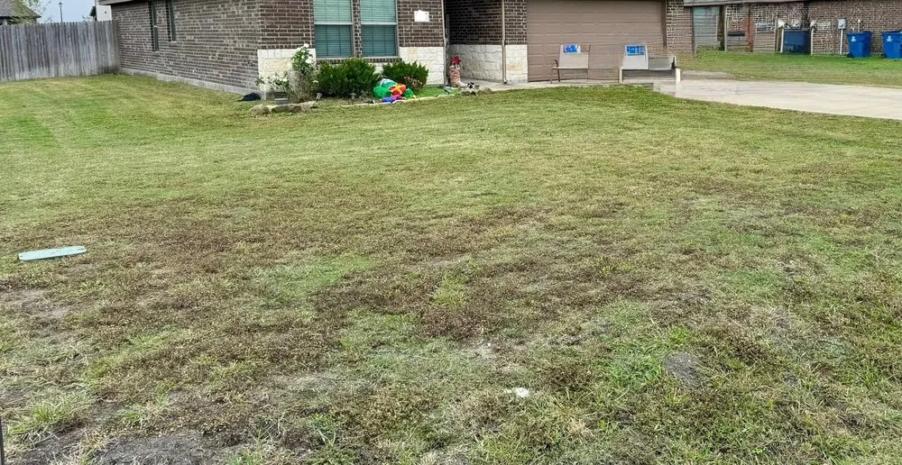 Affordable yard cleanup service experts serving Terrell, TX - Wood Bros Lawn Care