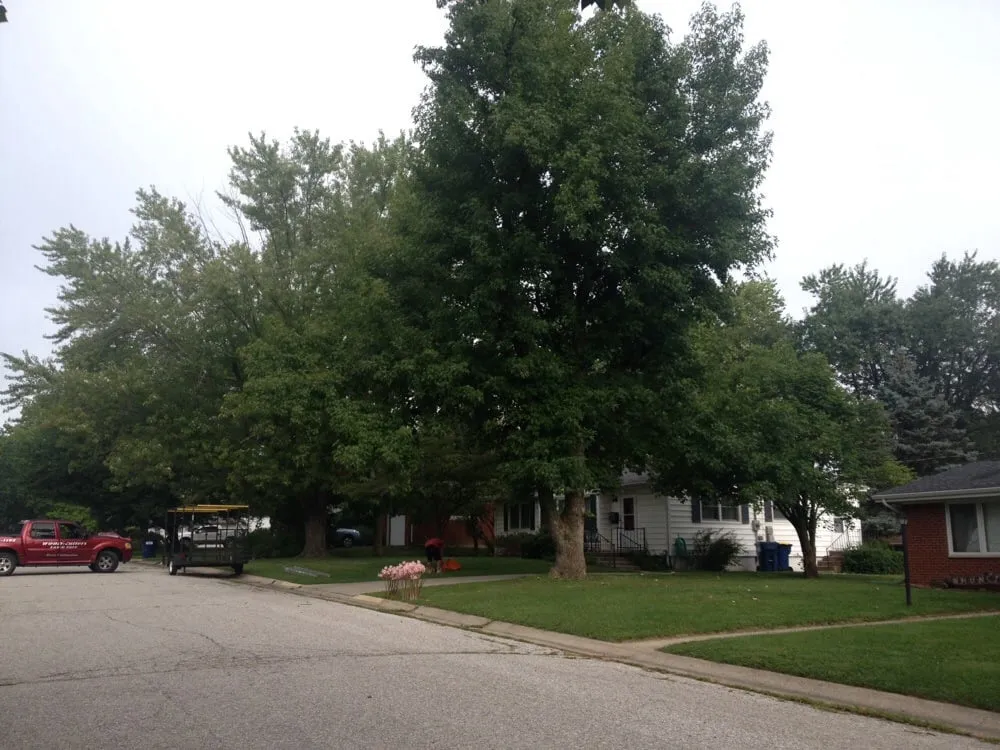 Local landscaping services for beautiful yards in Greencastle, IN by Wood-Cutters Lawn Care