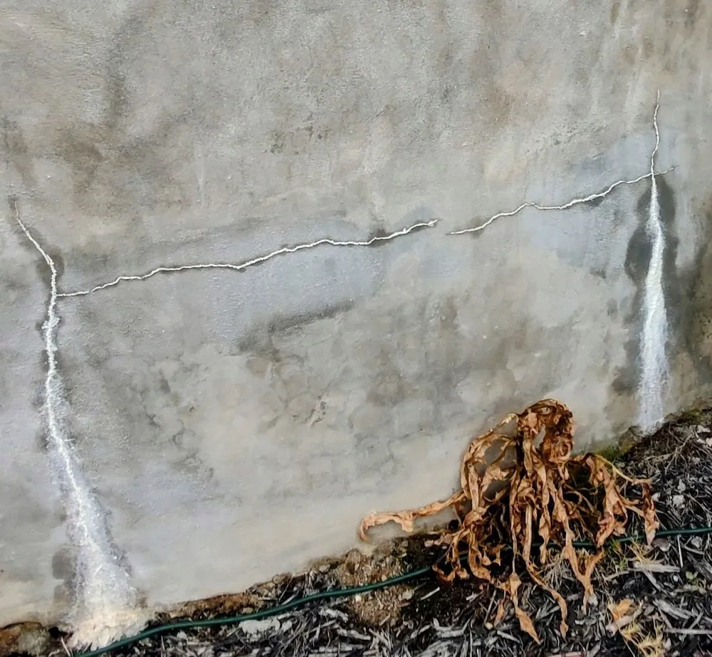 Custom landscape design in San Antonio, TX - Wood Duck Pool & Patio