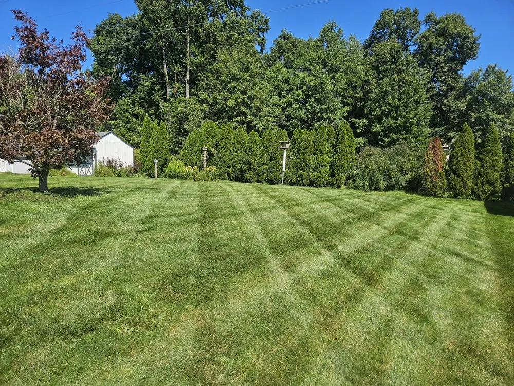 Professional lawn care service in Rootstown, OH - Wood Residential Service