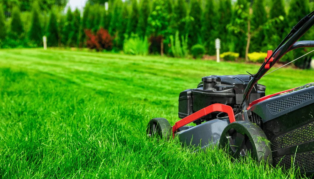 Reliable yard maintenance for outdoor upgrades in Wood River, IL by Wood River Lawn Care