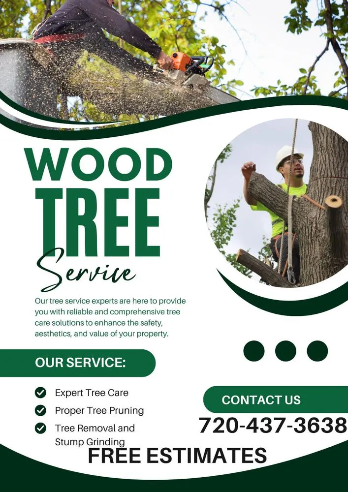 Expert yard maintenance for beautiful yards in Denver, CO by Wood Tree Service
