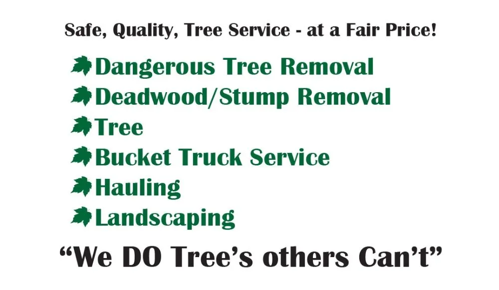 Expert landscape installation in Denver, CO by Wood Tree Service