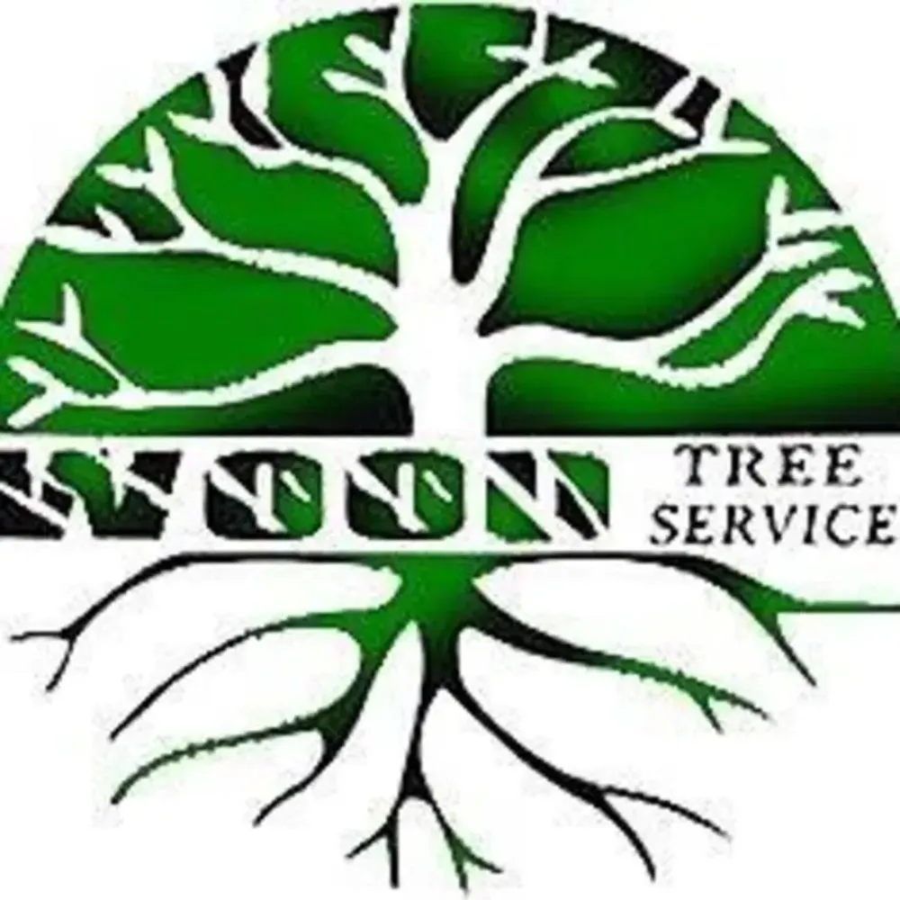 Expert outdoor landscaping near you across Denver, CO - Wood Tree Service