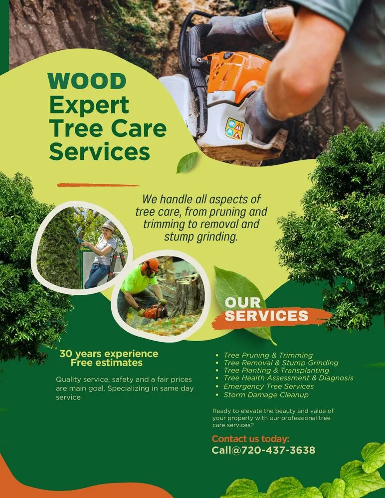 Reliable yard maintenance near you across Denver, CO - Wood Tree Service