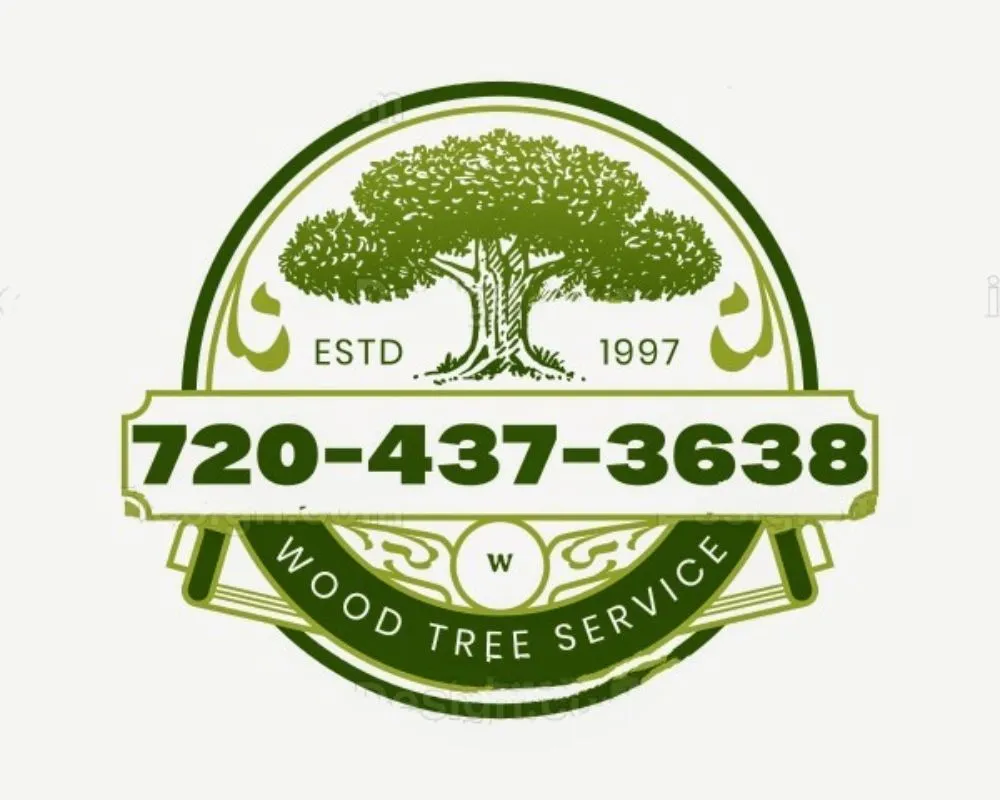 Custom landscape installation in Denver, CO - Wood Tree Service