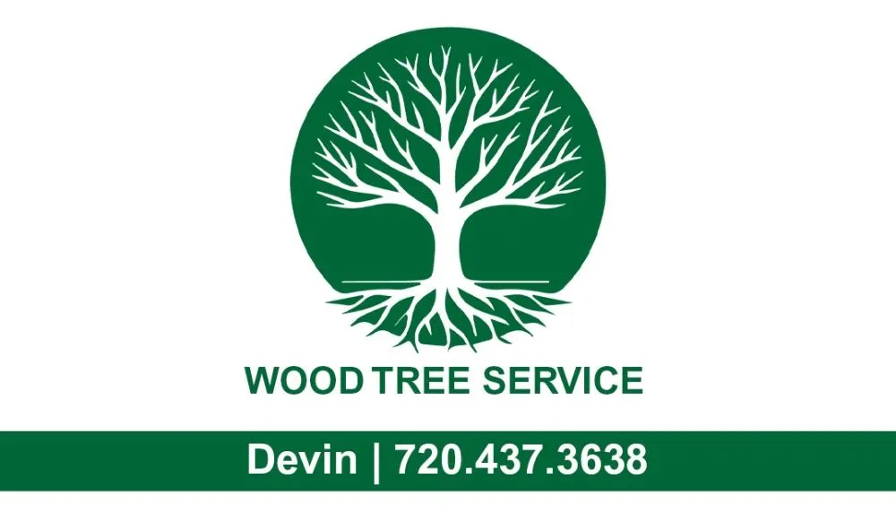 Expert yard cleanup service in Denver, CO - Wood Tree Service