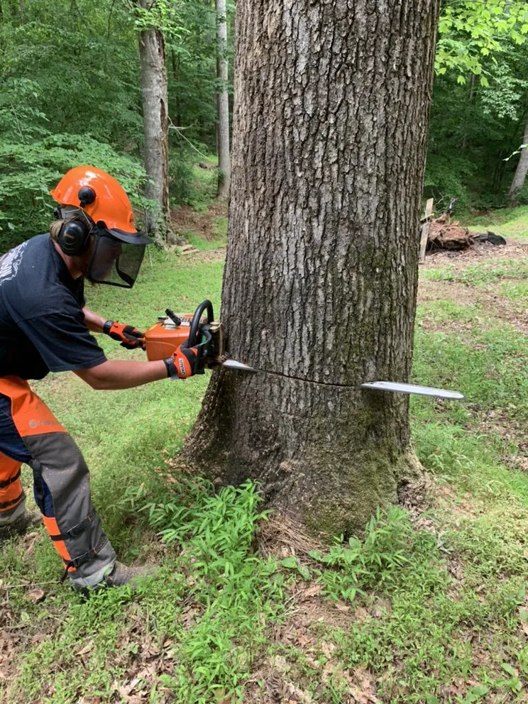 Expert landscaping services in Hillsborough, NC by Wood Wizards Firewood