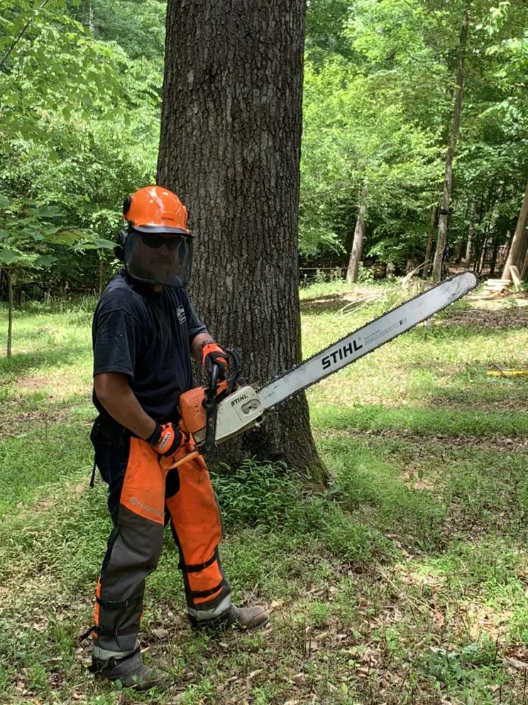 Local lawn mowing service experts serving Hillsborough, NC - Wood Wizards Firewood