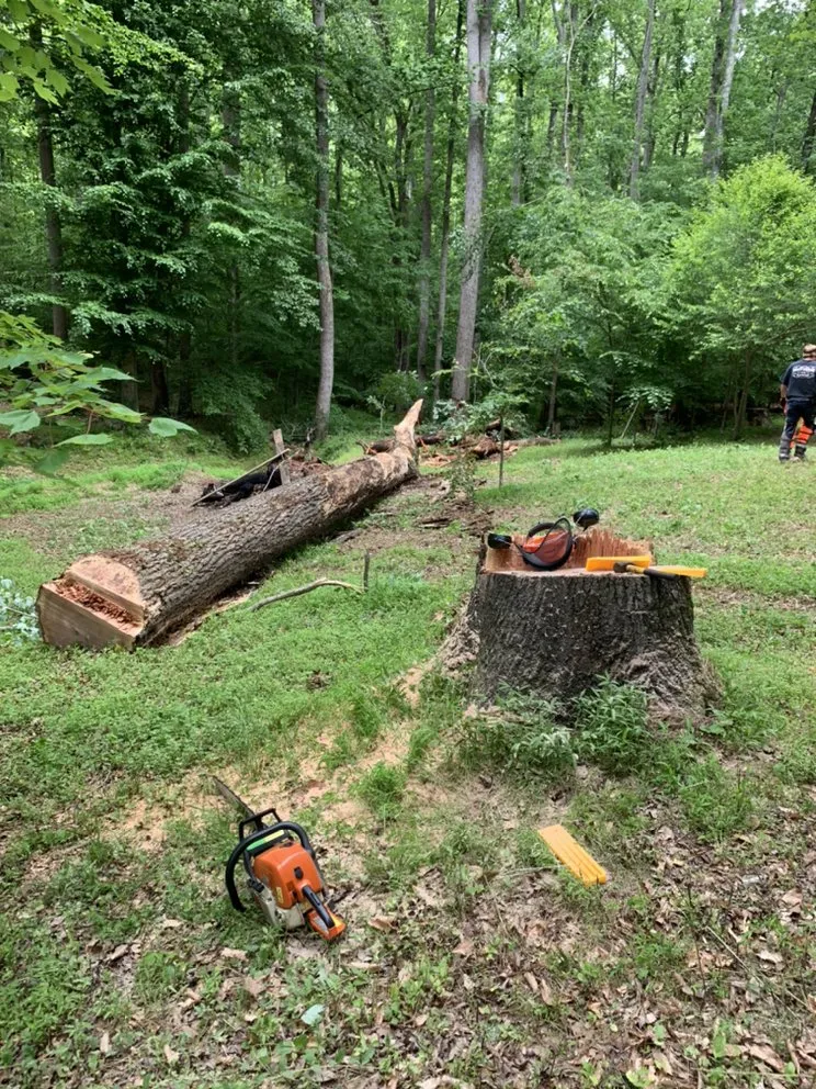Local yard cleanup service for outdoor upgrades across Hillsborough, NC - Wood Wizards Firewood