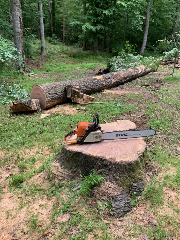 Trusted garden landscaping in Hillsborough, NC - Wood Wizards Firewood