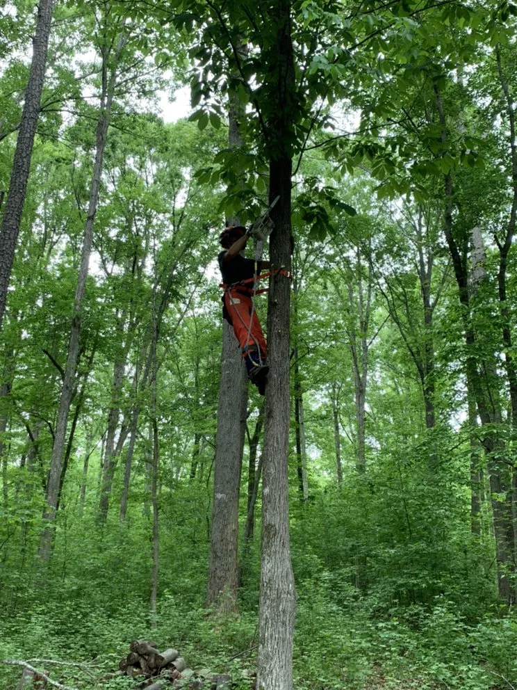 Trusted landscape installation for outdoor upgrades in Hillsborough, NC by Wood Wizards Firewood