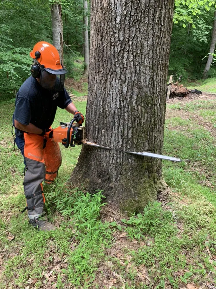 Professional yard maintenance in Hillsborough, NC - Wood Wizards Firewood