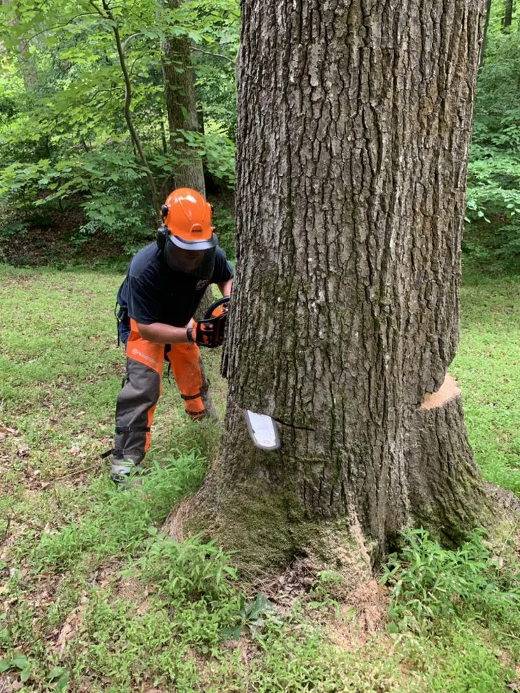 Affordable lawn mowing service for year-round maintenance across Hillsborough, NC - Wood Wizards Firewood
