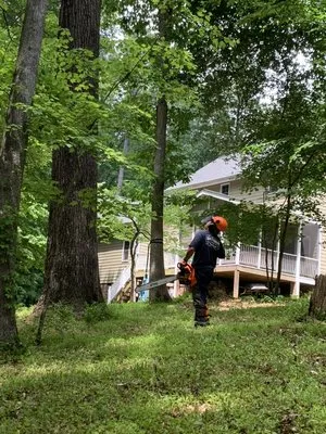 Wood Wizards Firewood Logo