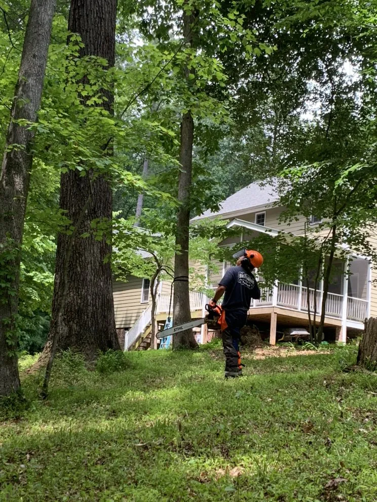 Reliable landscape installation for homes in Hillsborough, NC by Wood Wizards Tree and Lawncare