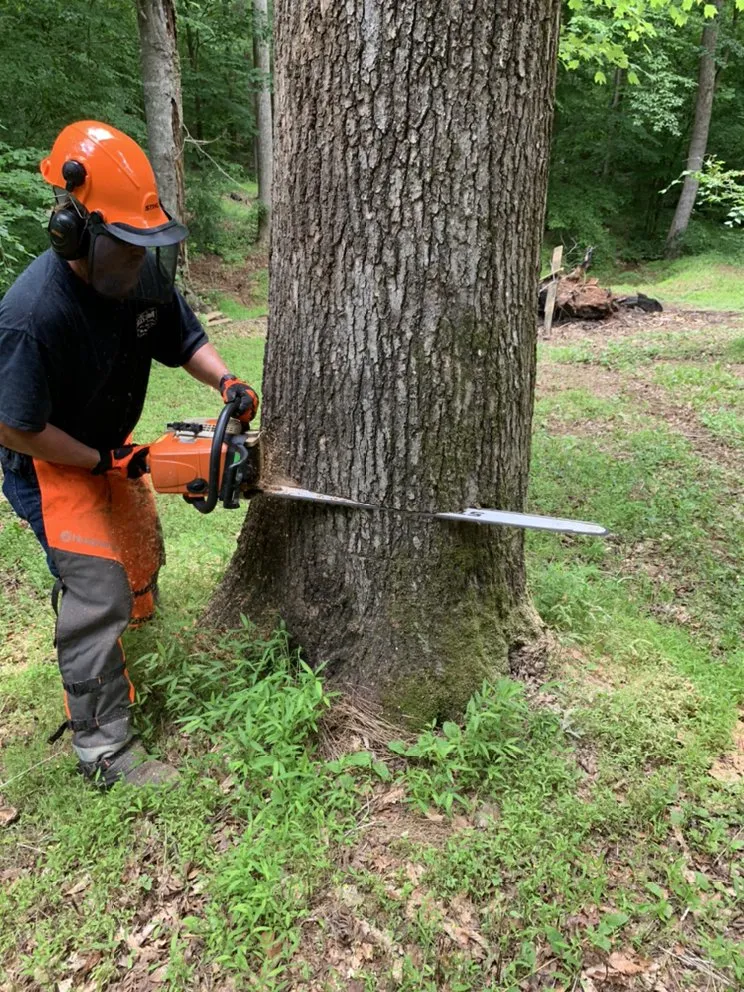 Reliable lawn care service for homes across Hillsborough, NC - Wood Wizards Tree and Lawncare