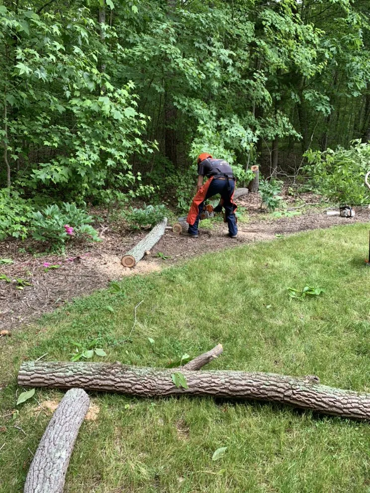 Local yard maintenance with custom design in Hillsborough, NC by Wood Wizards Tree and Lawncare