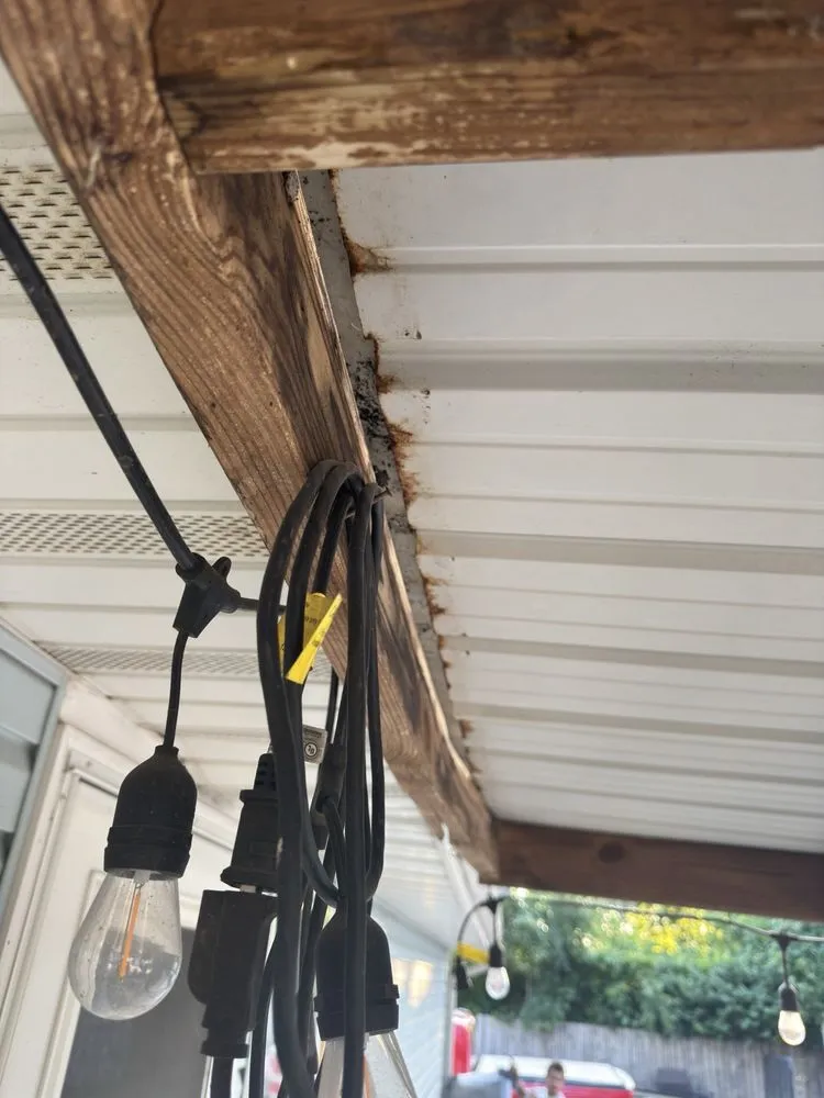 Reliable yard cleanup service with custom design in Springfield, MO by Woodall's Lawn Service