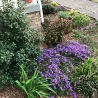 Trusted lawn care service in Dixon Springs, TN - Woodard Landscaping & Lawncare