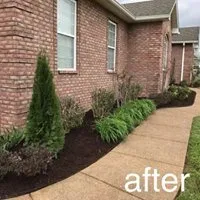 Professional landscape design for beautiful yards across Dixon Springs, TN - Woodard Landscaping & Lawncare