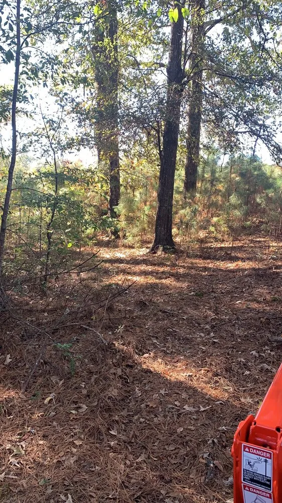 Local lawn mowing service experts serving Canton, MS - Woodard’s Dirt Work And Lawn Services