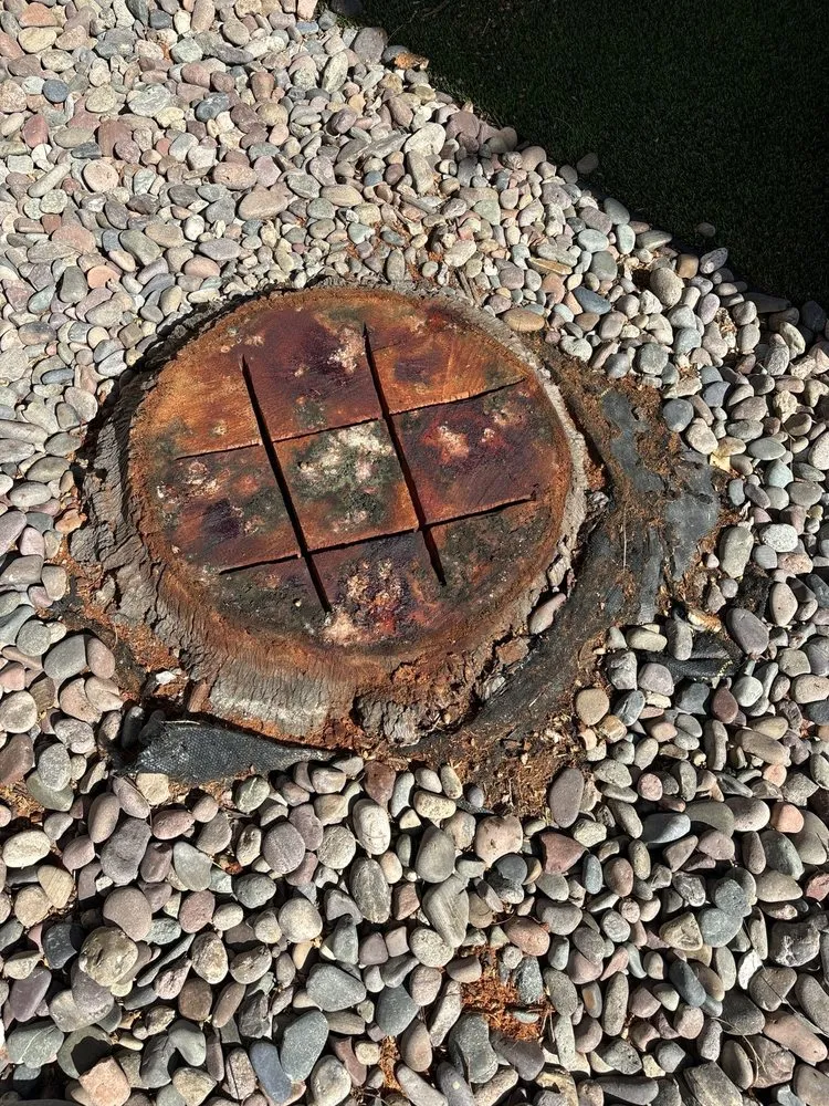 Professional lawn mowing service with custom design across Irvine, CA - Woodbridge Construction