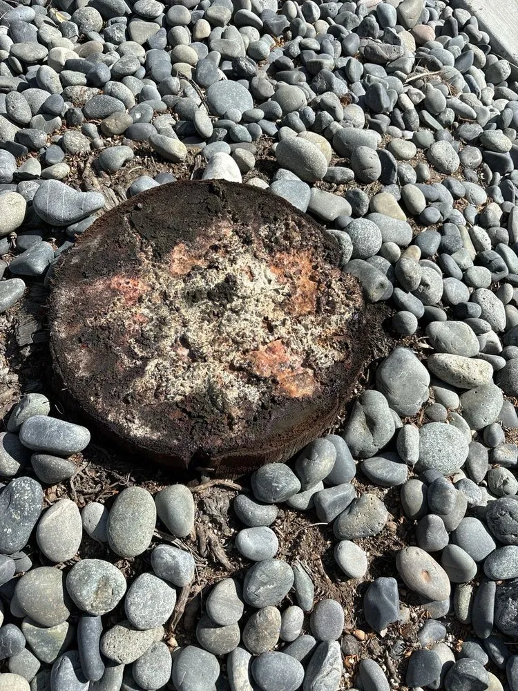 Trusted yard maintenance in Irvine, CA by Woodbridge Construction