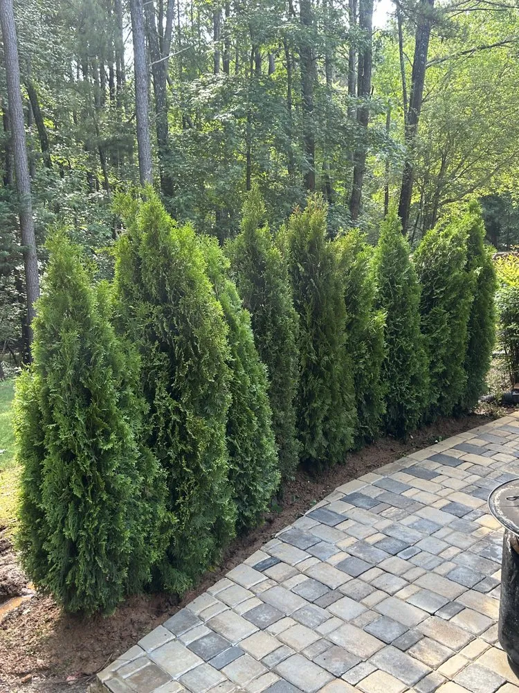 Reliable landscaping services in Sandy Springs, GA - Woodburn Landscapes