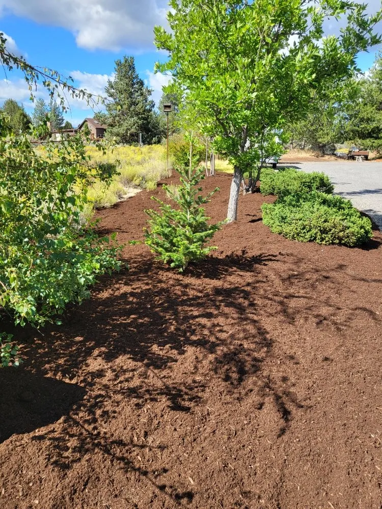 Top-rated lawn care service in Bend, OR by Woodbyrne All Seasons Groundskeeping